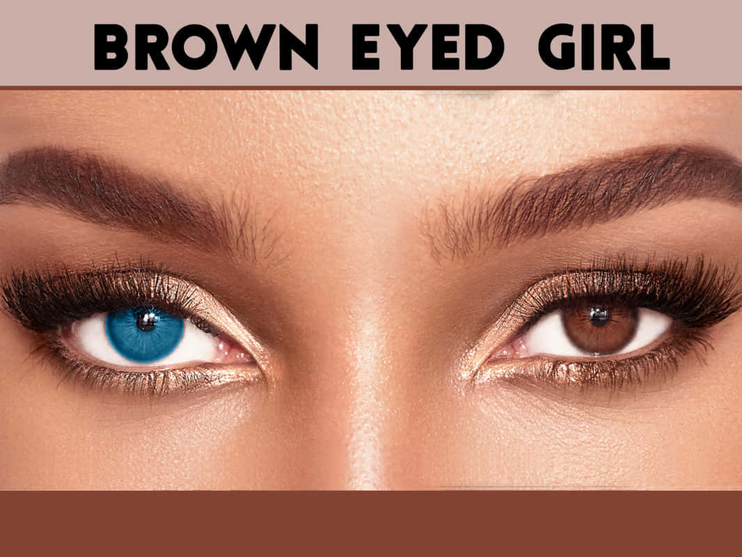 Beautiful Brown Eyed Girl Posing Wallpaper