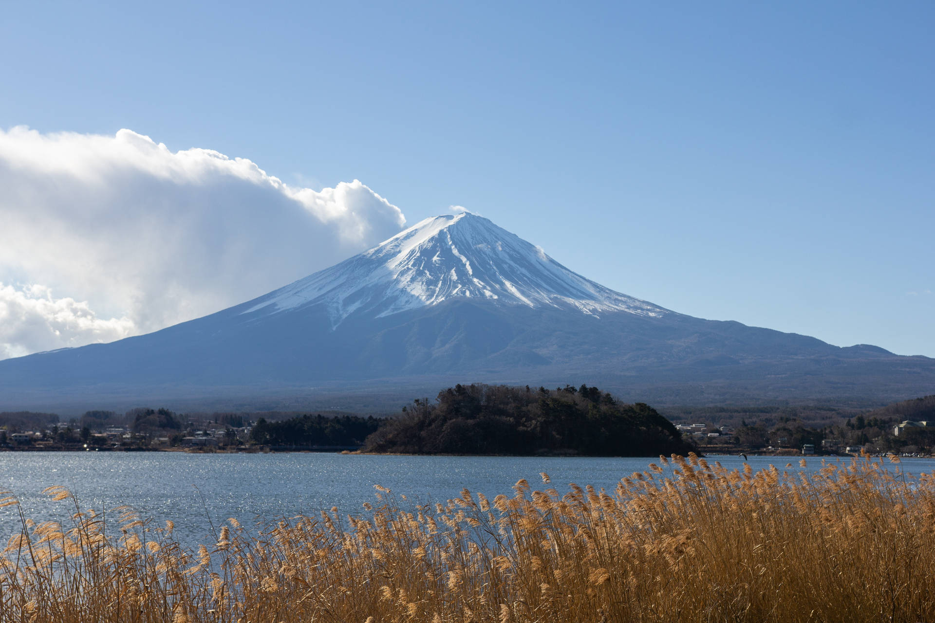 Campomarrón Con El Monte Fuji Fondo de pantalla