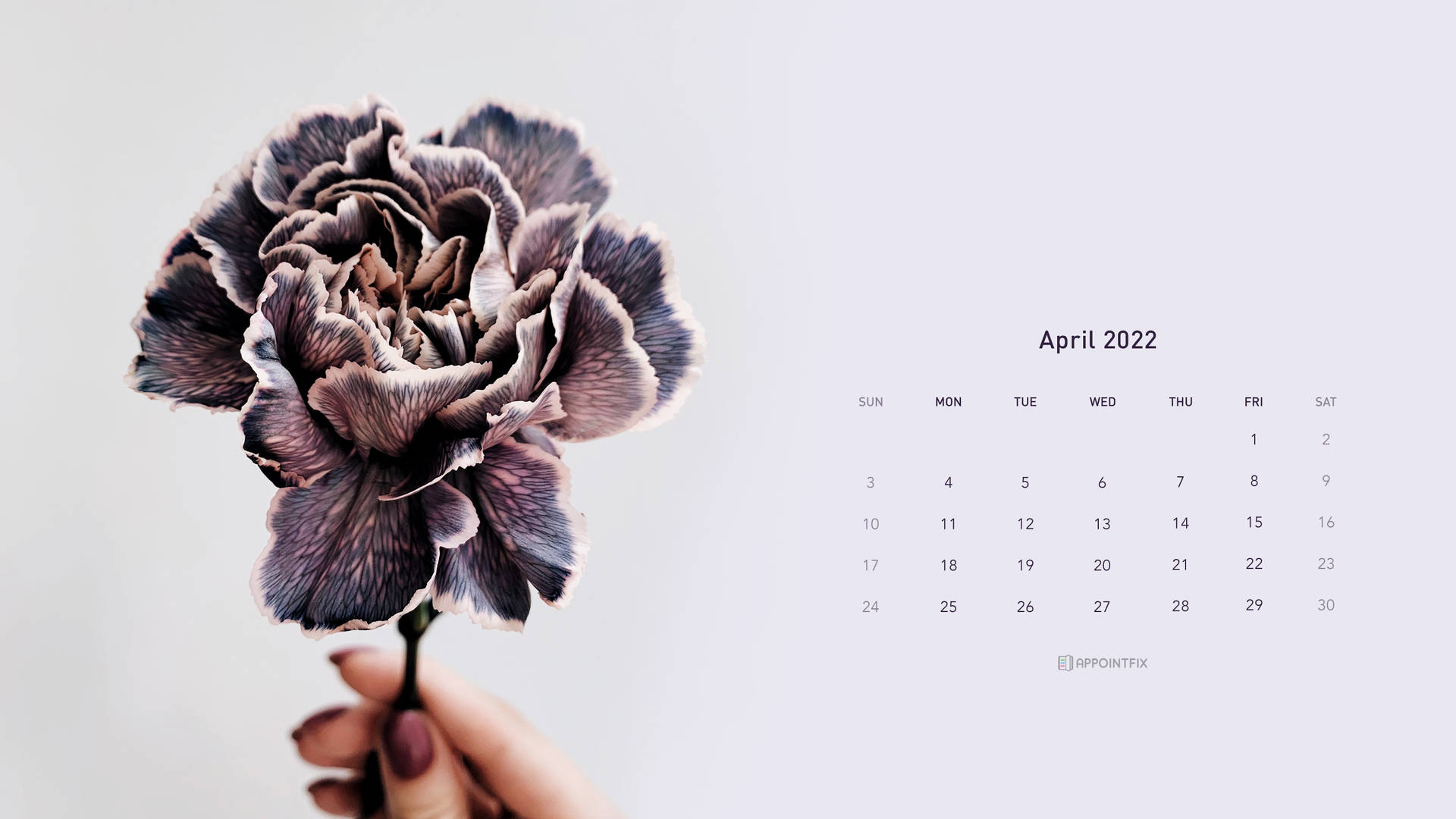 Brown Flower April 2022 Calendar Background