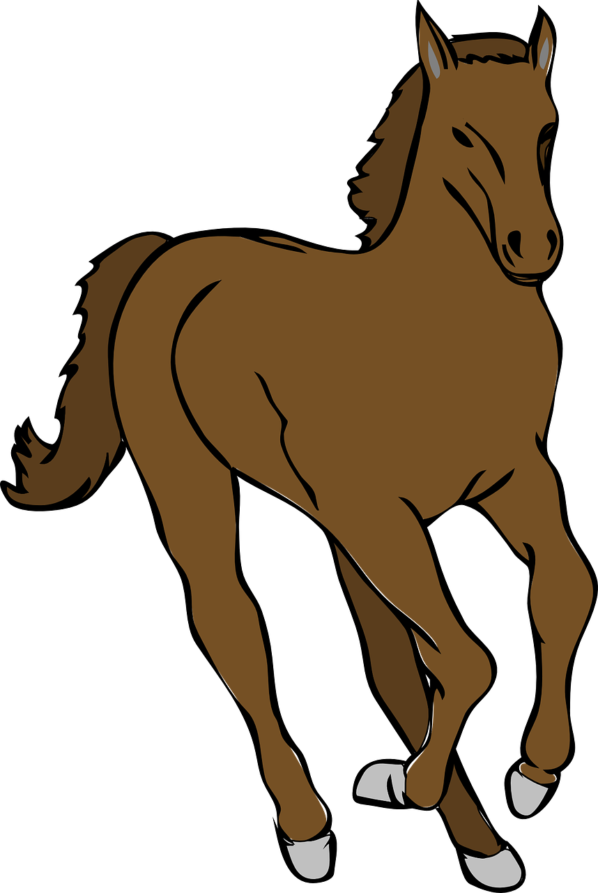 Brown Foal Illustration.png PNG