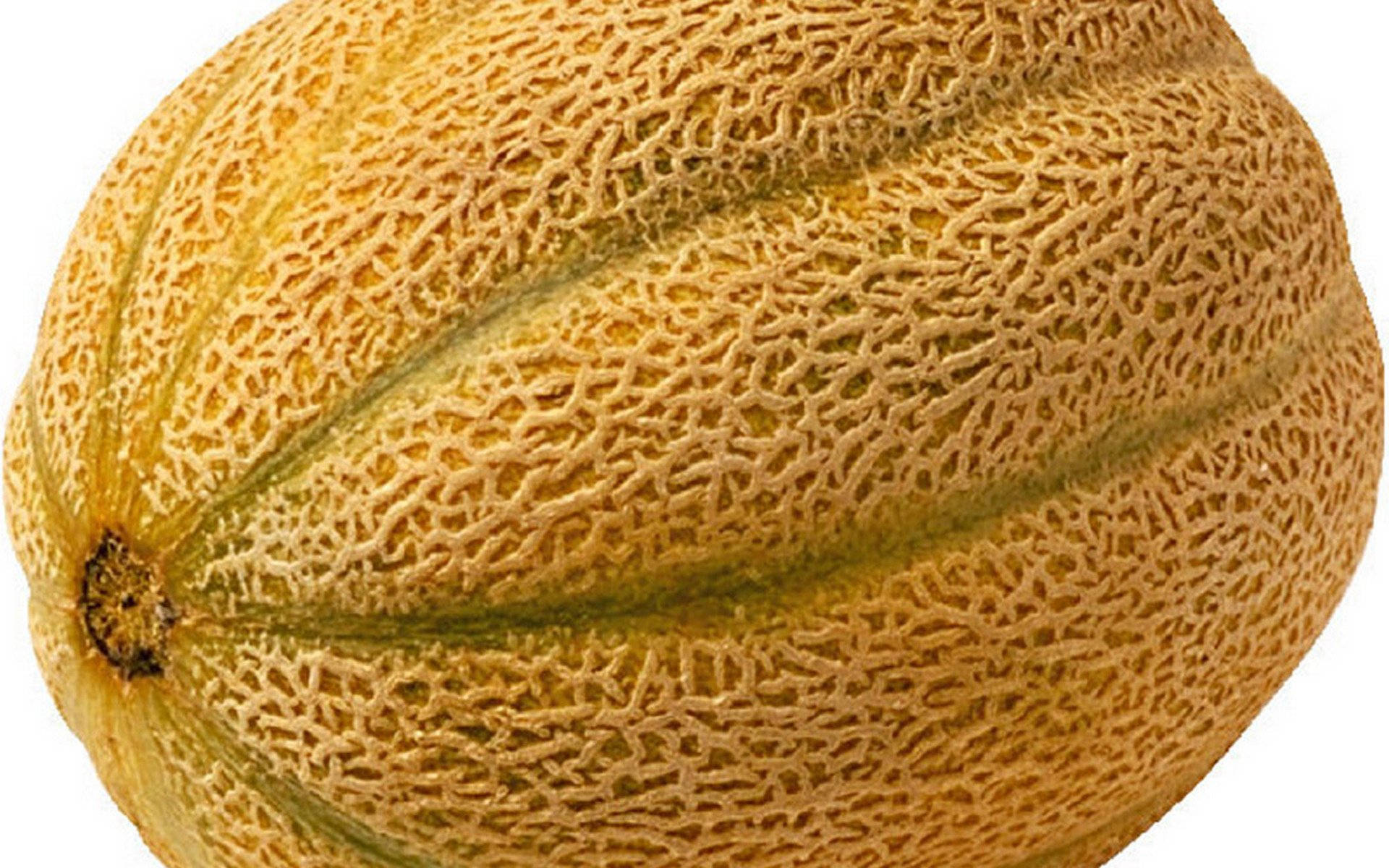 Brown Honeydew Melon Skin Texture Wallpaper