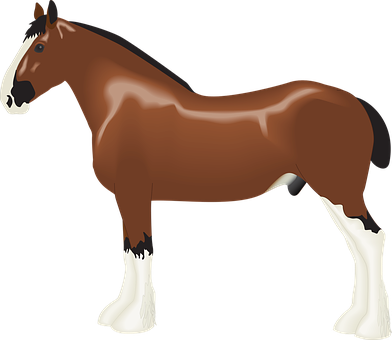 Brown Horse White Markings Vector PNG