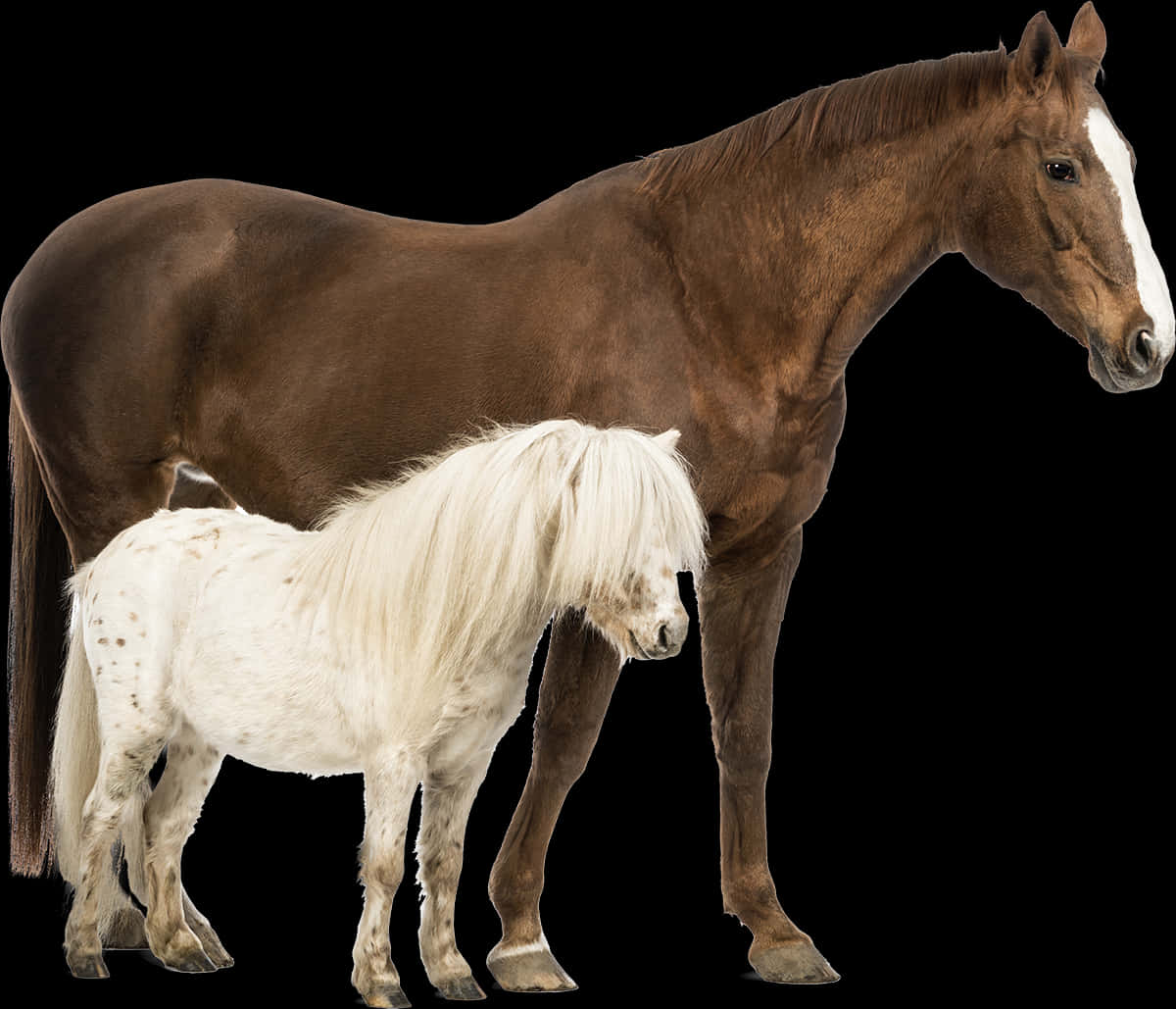 Brown Horseand White Pony PNG