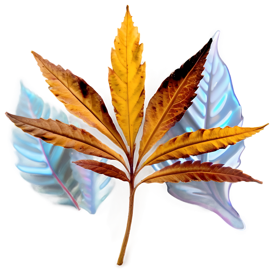 Brown Leaf Png Mhl PNG