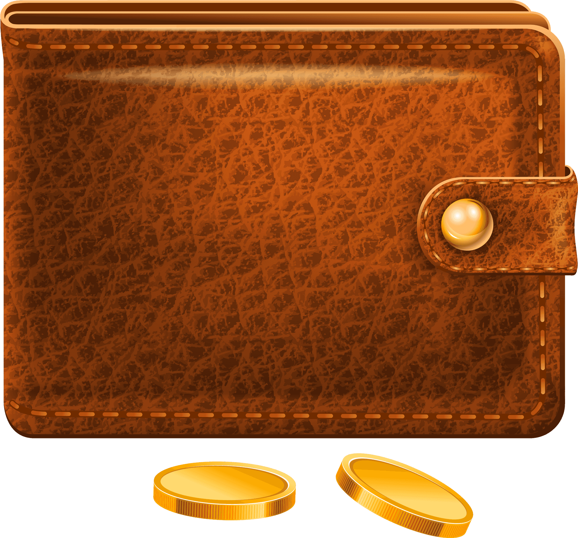 Brown Leather Walletand Coins PNG