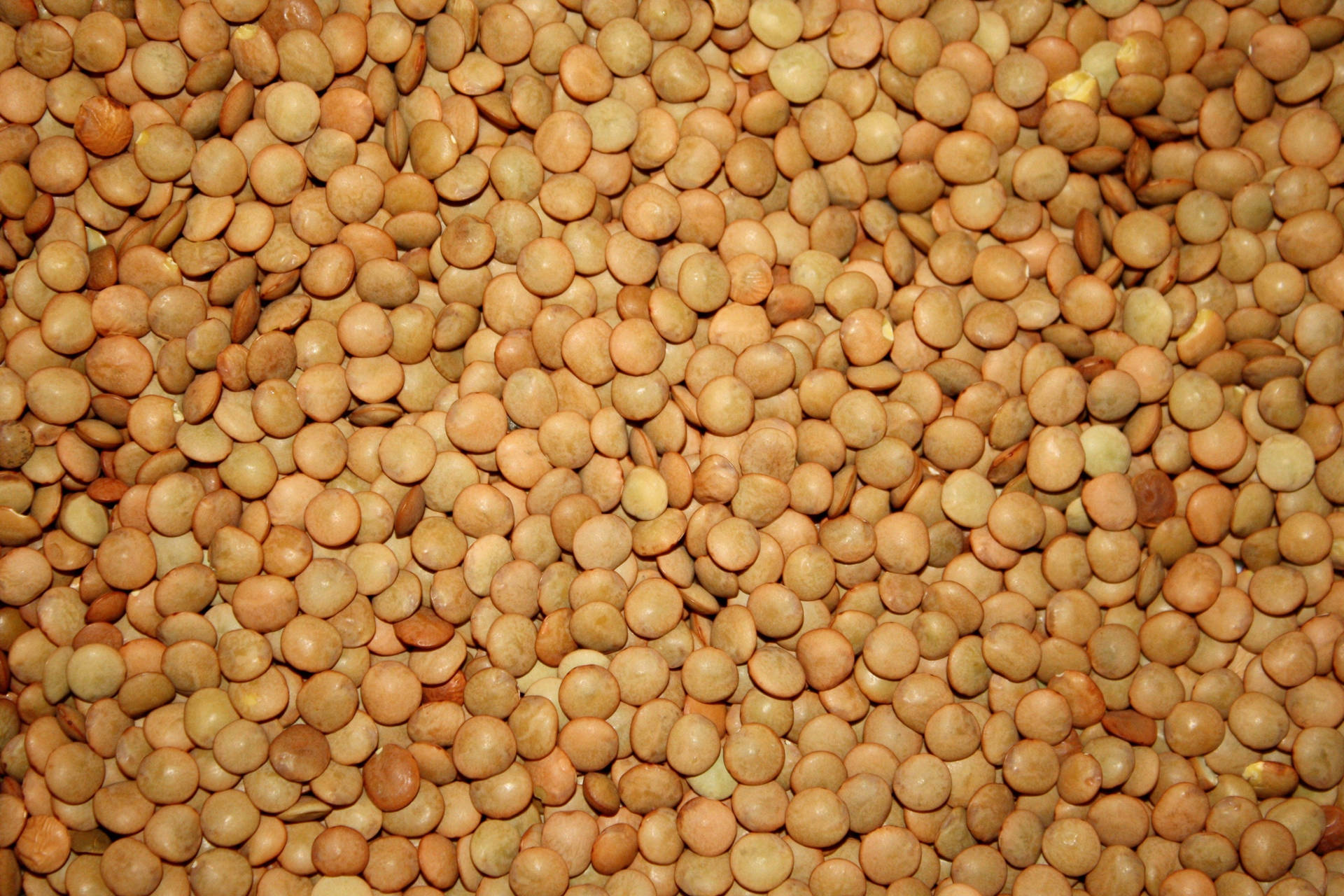 Brown Lentils Legumes Wallpaper