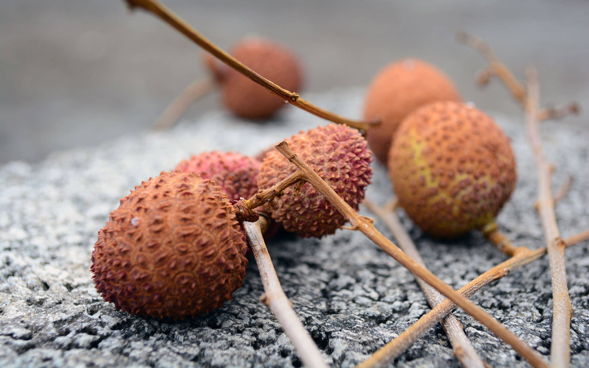 Brown Lychee Fruits Attached To Twigs Wallpaper