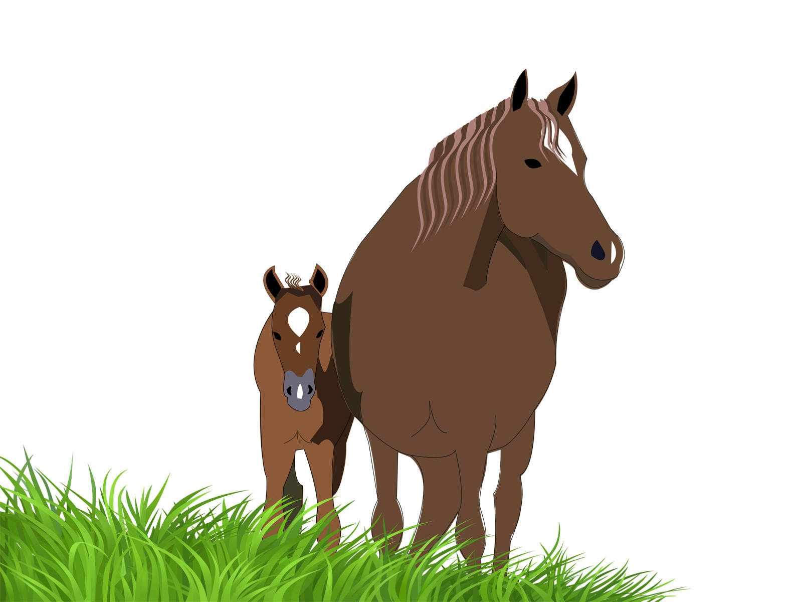 Brown Mare And Baby Foal Vector Art Wallpaper