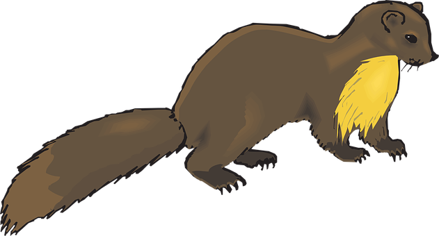 Brown Marten Illustration PNG