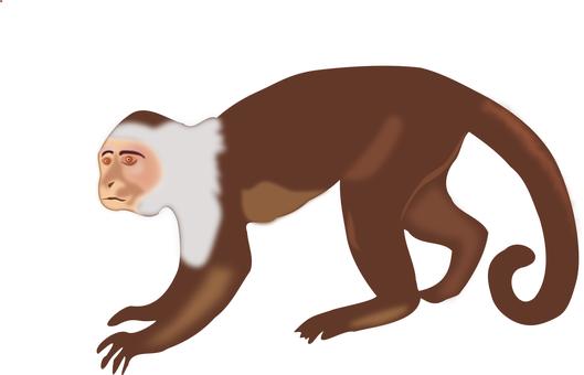 Brown Monkey Illustration PNG