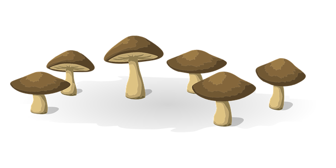Brown Mushrooms Black Background Illustration PNG