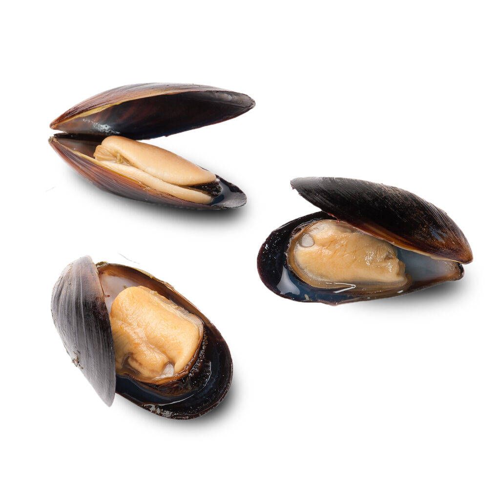 A Fascinating display of Brown Mussels with Opened Shells Wallpaper