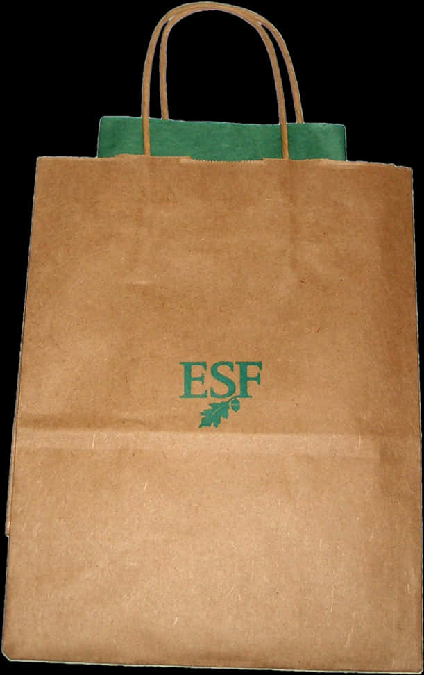 Brown Paper Tote Bagwith Green Handles PNG