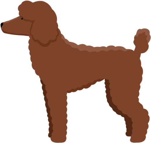 Brown Poodle Illustration.png SVG