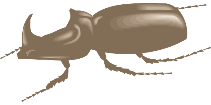 Brown Rhinoceros Beetle Illustration PNG