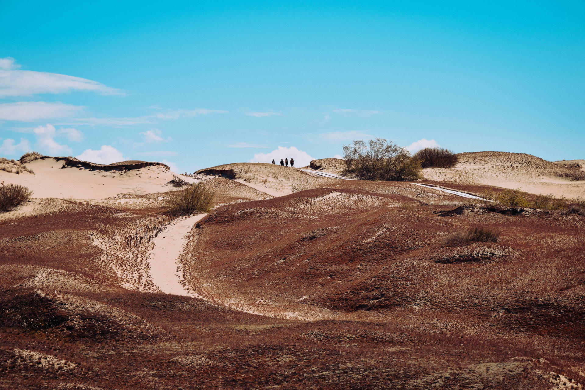 Brown Sand Dune In Lithuania