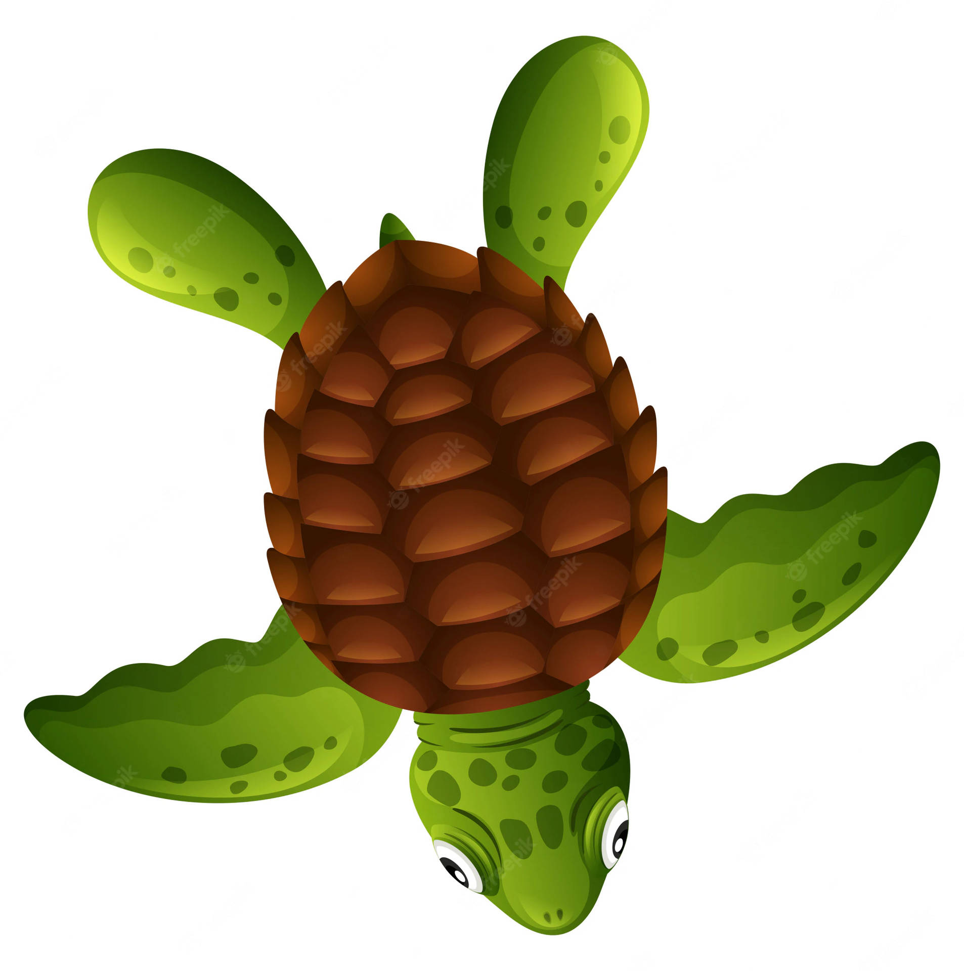 Brown Shell Cartoon Turtle Wallpaper