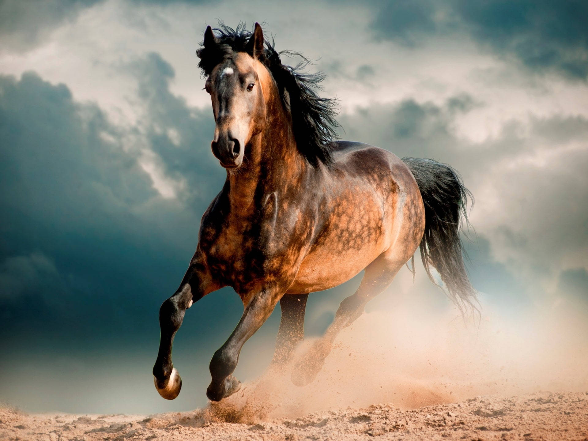 Brown-spotted Running Horse Wallpaper