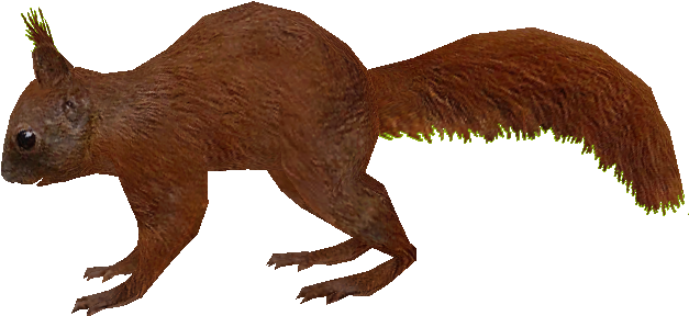 Brown Squirrel Running Profile PNG