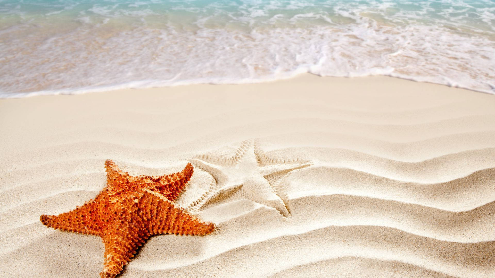 Brown Starfish Sand Pattern Wallpaper