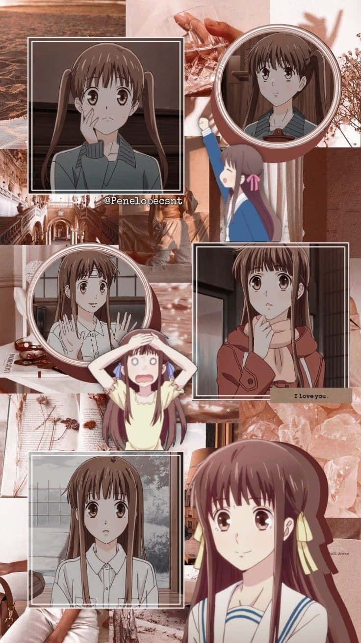 Brun Tohru Honda Collage Frugter Kurv Anime Wallpaper Wallpaper