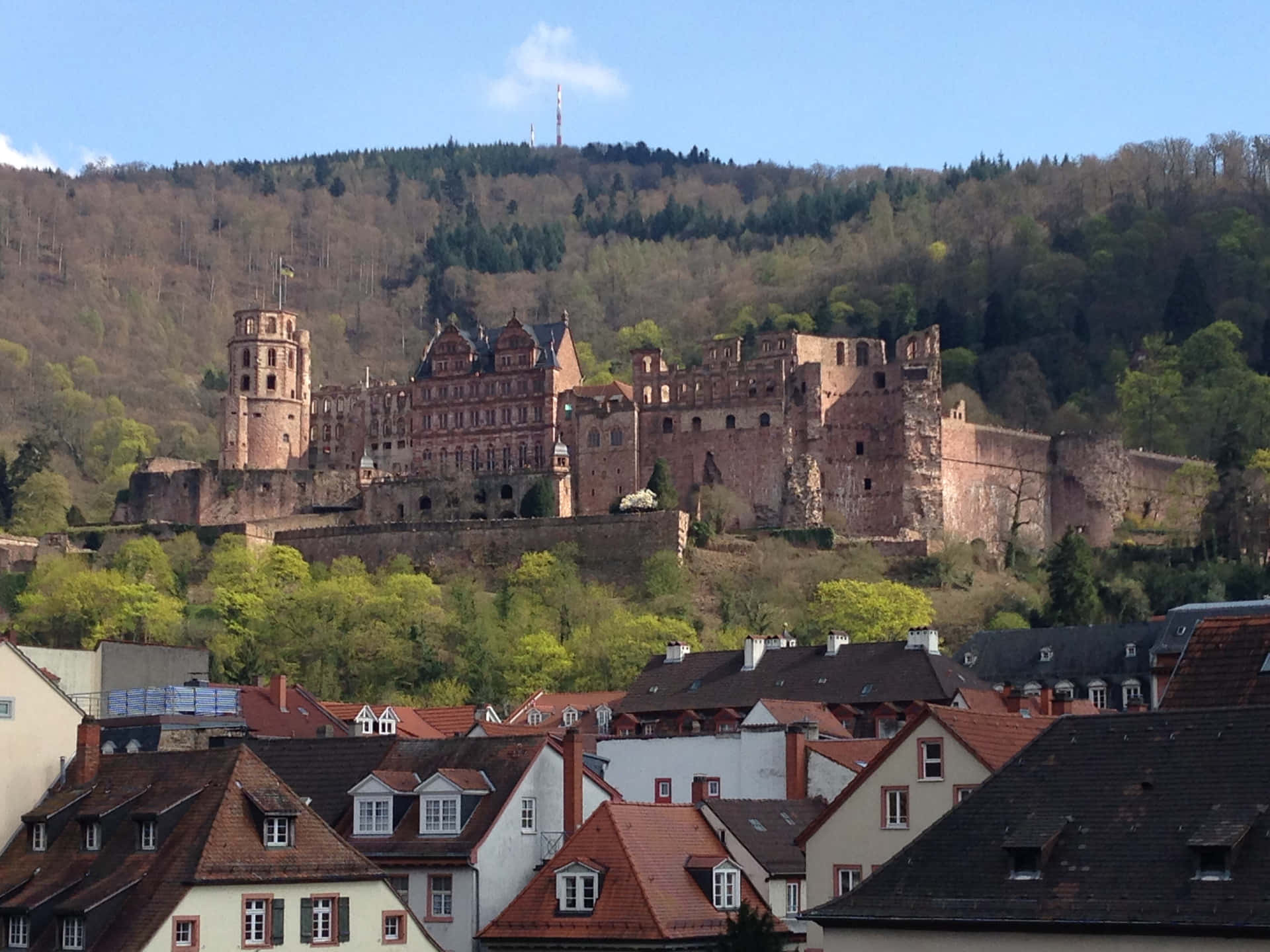 Brown Trees Around Heidelberg Castle Wallpaper