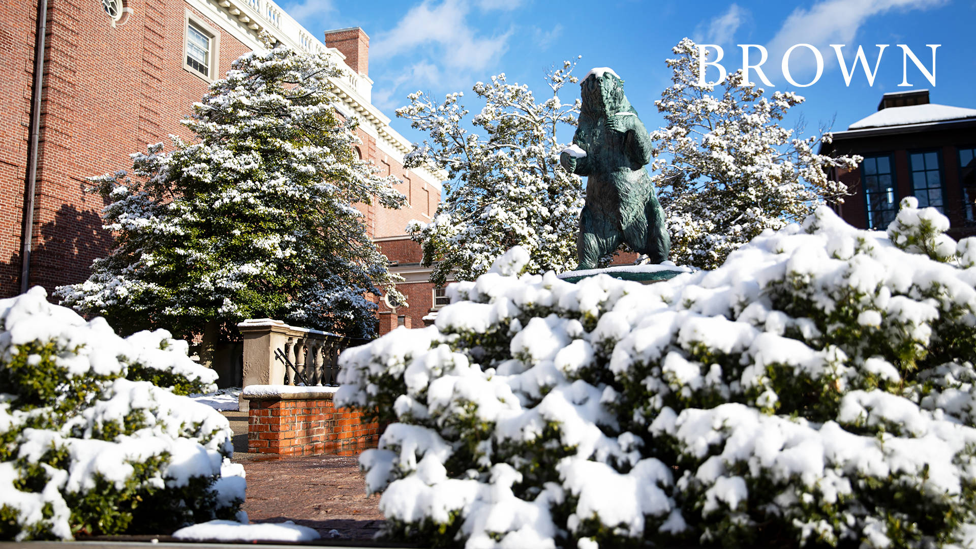 Brown University Bear Statue With Snow Wallpaper
