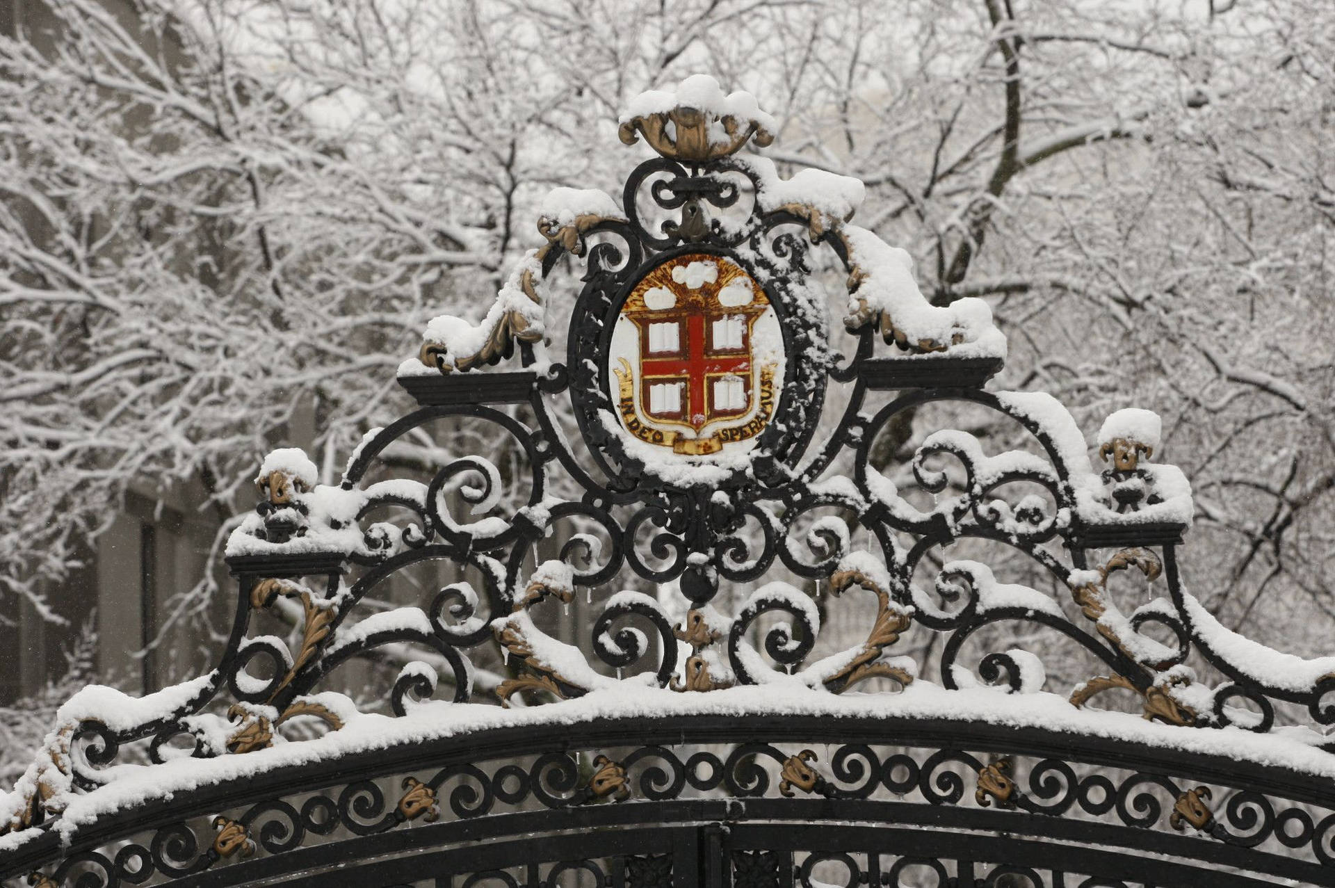 Brown University Gate With Snow Wallpaper