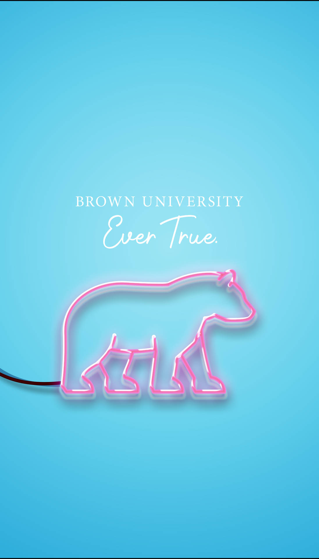 Brown University Neon Pink Phone Graphic Wallpaper
