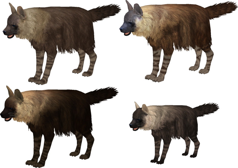 Brown_ Hyenas_ Multiple_ Angles PNG