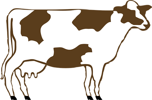 Brownand White Cow Illustration PNG