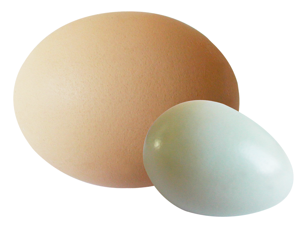 Brownand White Eggs Simple Background PNG