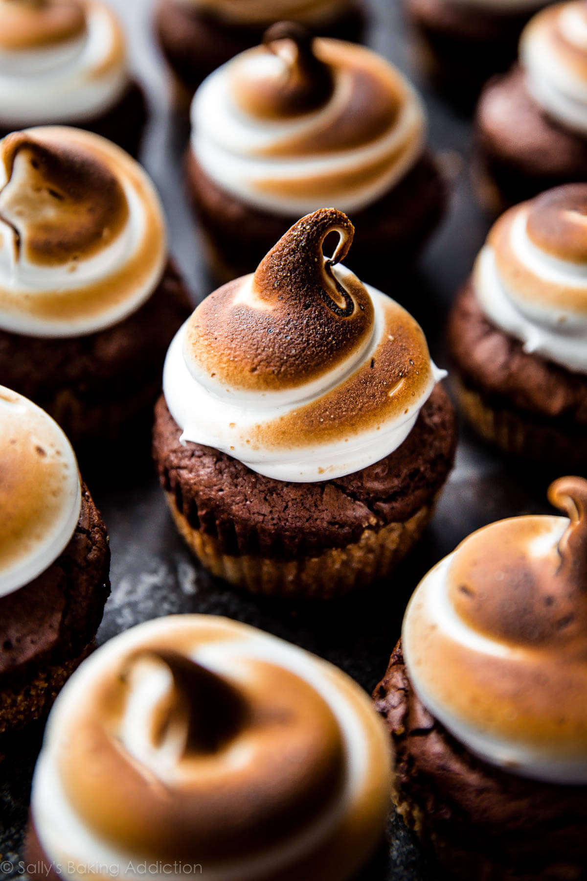 Brownie Cupcakes With Toasted Marshmallows Wallpaper
