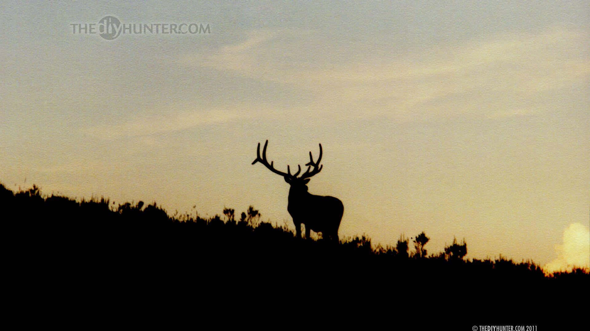 A Deer Standing On A Hill At Sunset Wallpaper