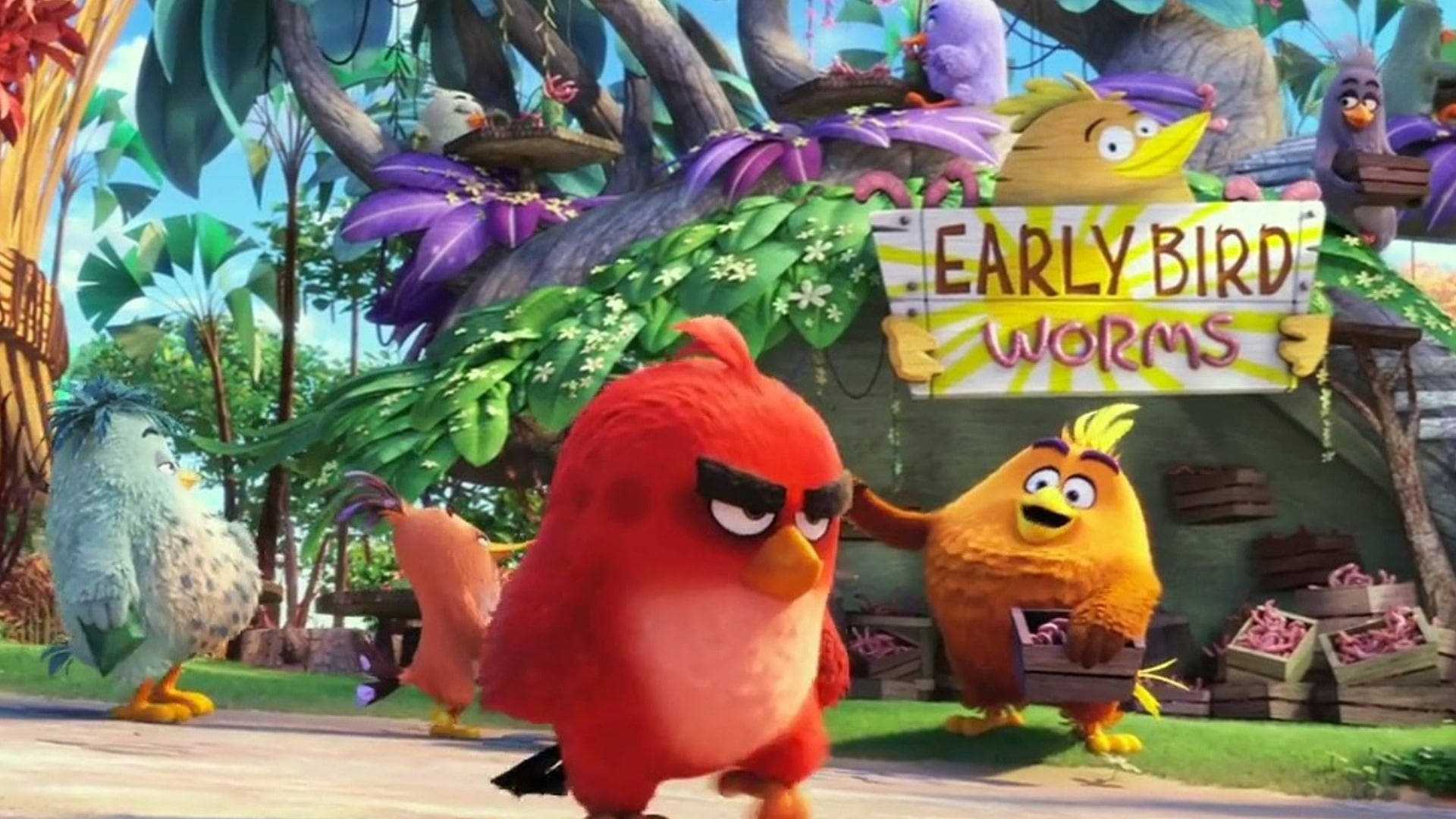 Brroding Red From The Angry Birds Movie Wallpaper