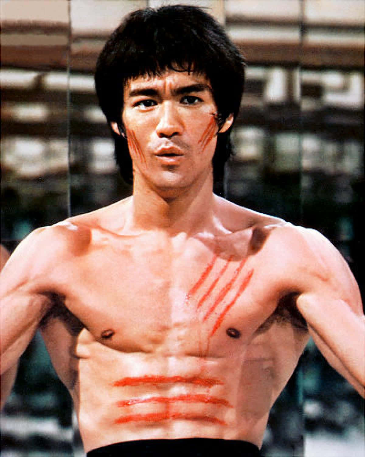 Bruce Lee, Martial Arts Icon