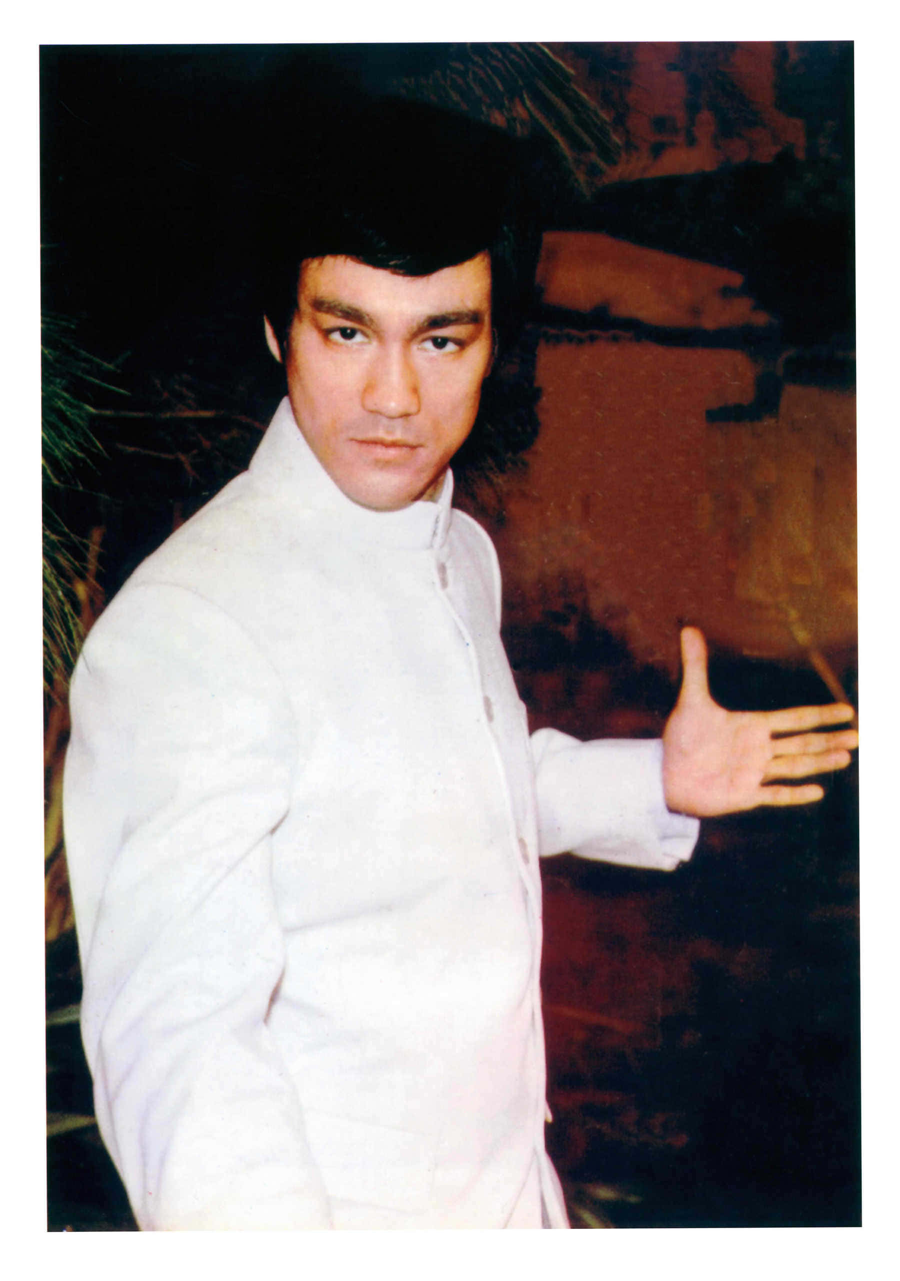 Denlegendariske Bruce Lee.