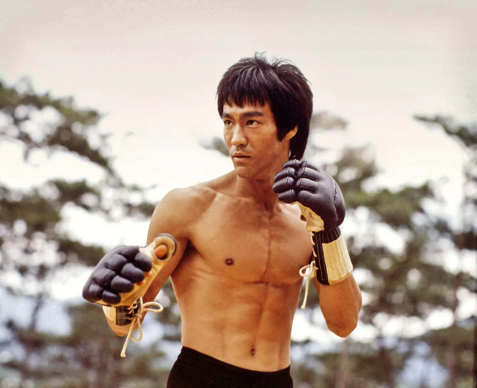 Bruce Lee, The Master of Martial Arts