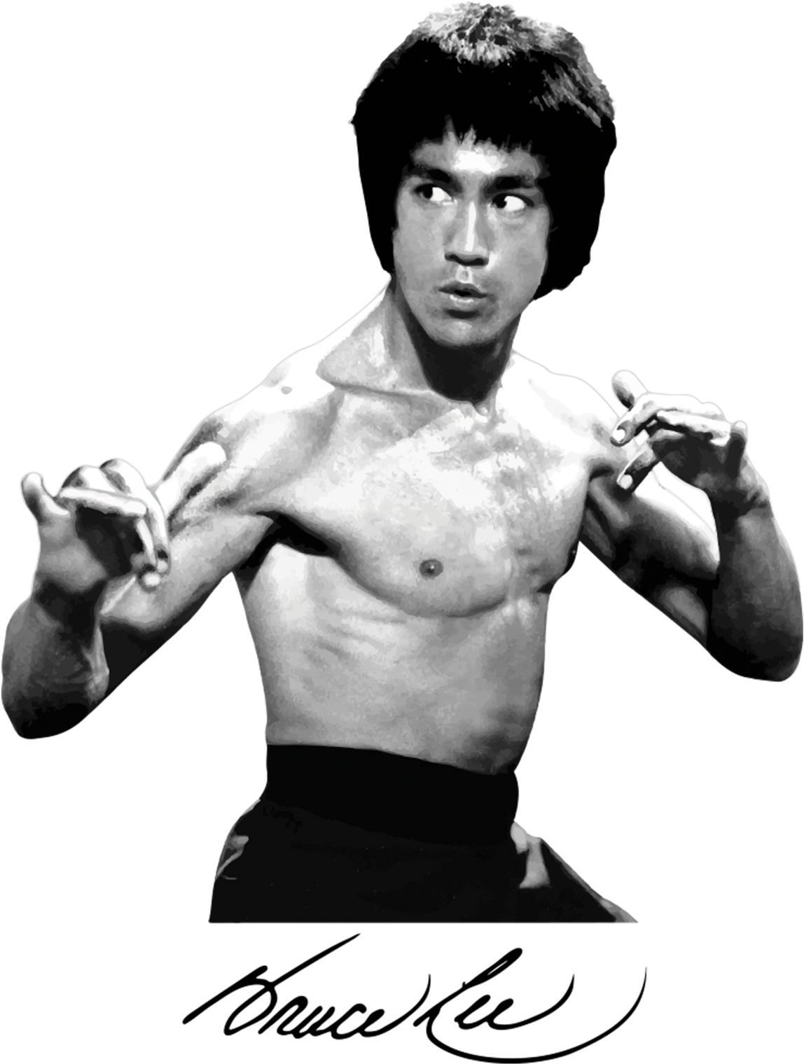 Bruce Lee Classic Fighting Stance PNG