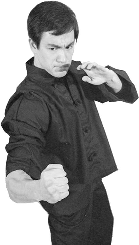 Bruce Lee Martial Arts Pose PNG