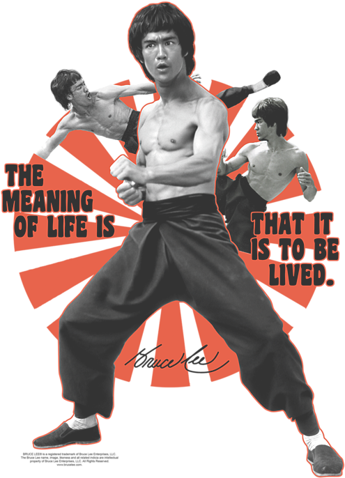 Bruce Lee Meaningof Life Poster PNG