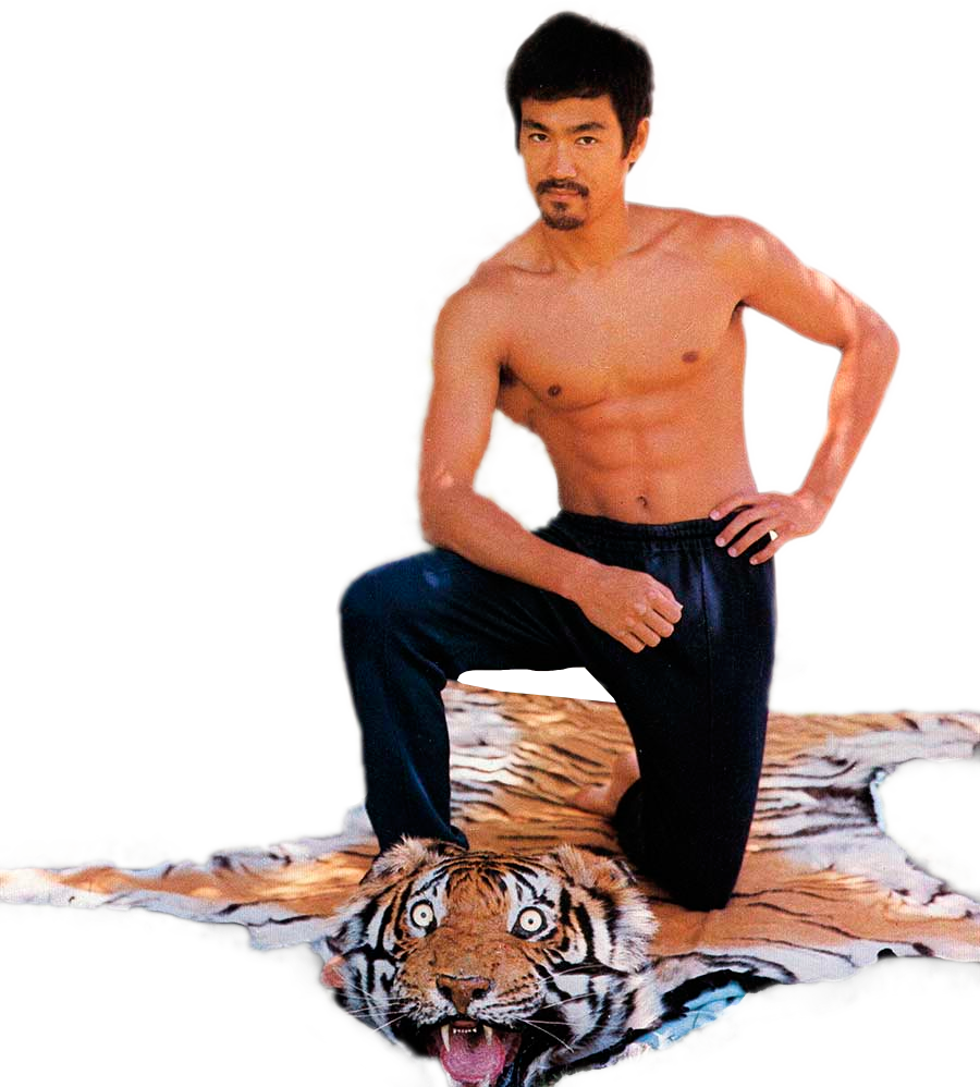 Bruce Lee Poseon Tiger Skin Rug PNG