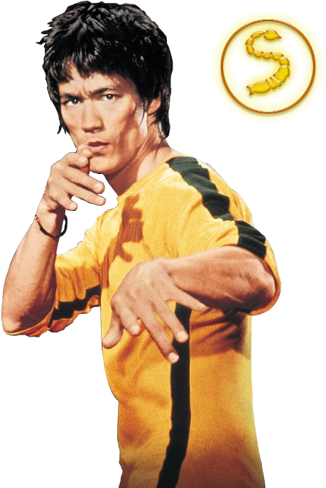 Bruce Lee Yellow Jumpsuit Pose PNG