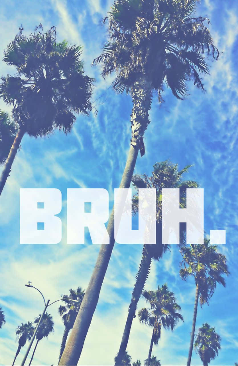 Bruh In Palm Trees Background Wallpaper