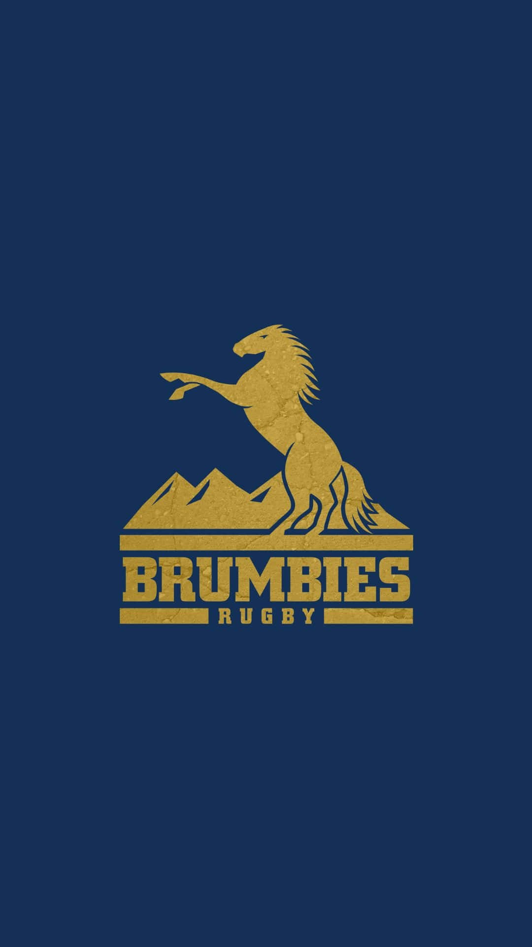 Majestic Brumbies Galloping across the Field Wallpaper