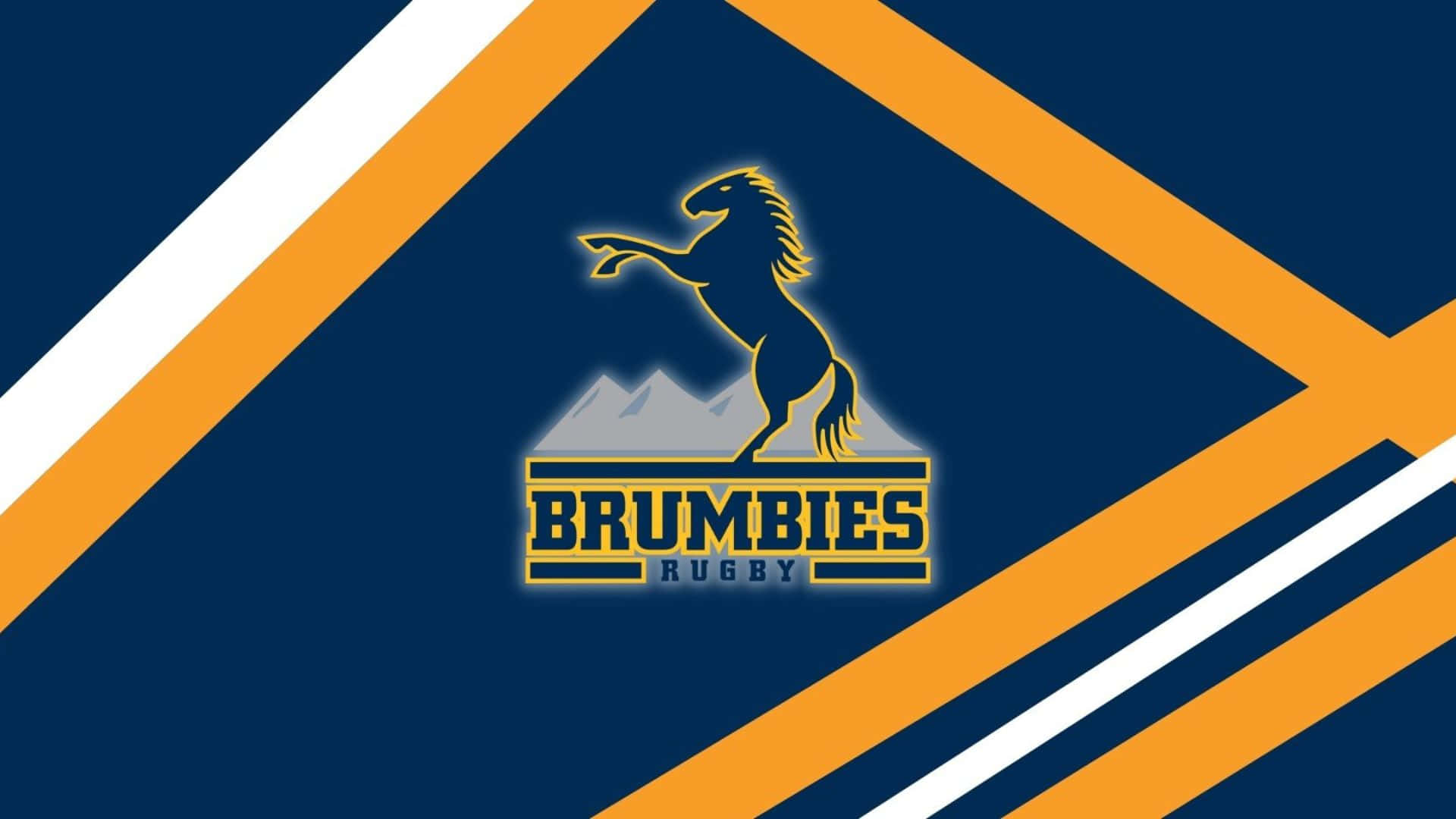 Majestic Brumbies roaming the picturesque countryside Wallpaper