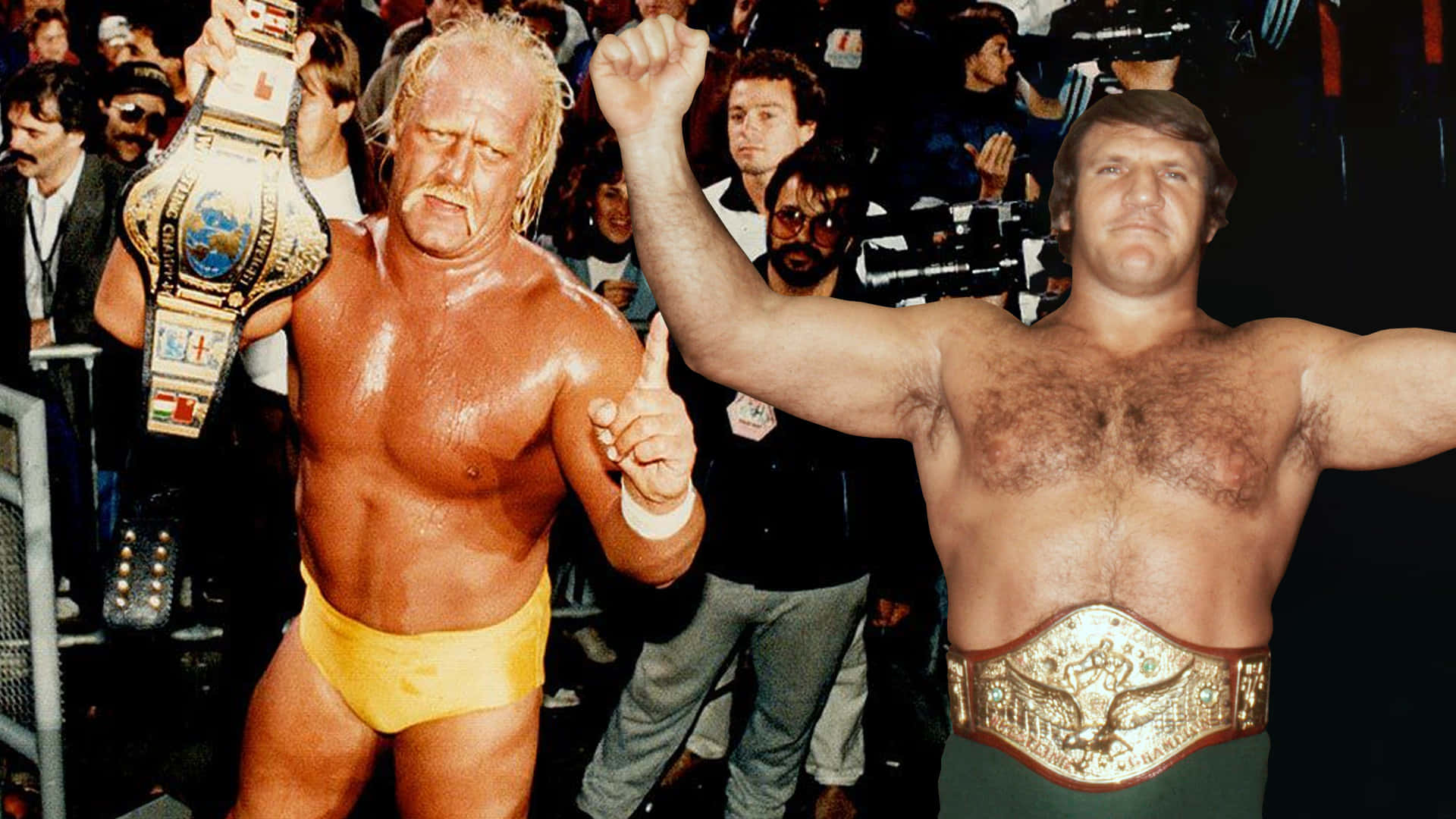 Bruno Sammartino And Hulk Hogan Picture