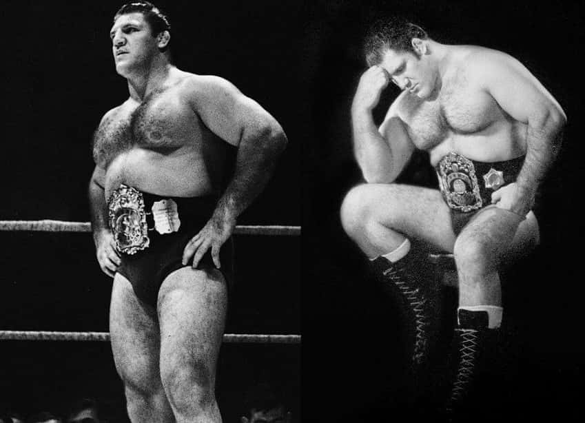 Bruno Sammartino Heavyweight Wrestler Wallpaper