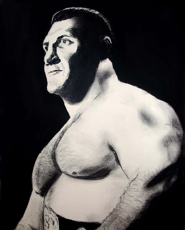 An Inspiring Illustration of Wrestling Legend Bruno Sammartino Wallpaper