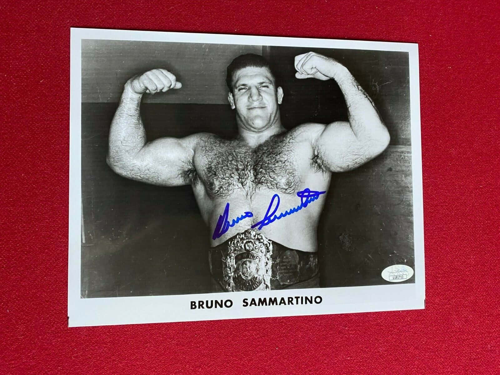 Legendary Wrestler Bruno Sammartino Autographed Black and White Photograph Wallpaper